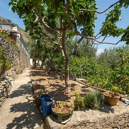 New - Relax At Casa Guglielmo, Lejlighed